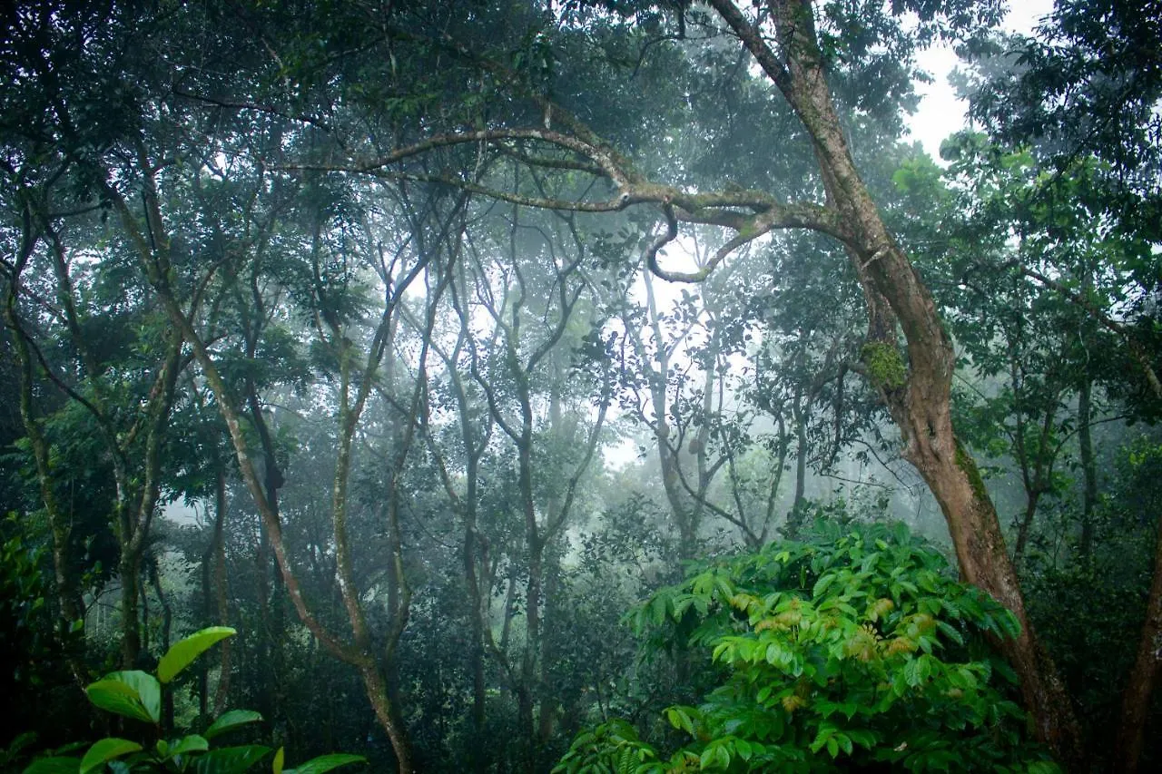 Edens Munnar Hotel 3*,