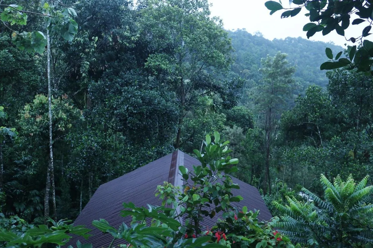 Edens Munnar Hotel 3*,