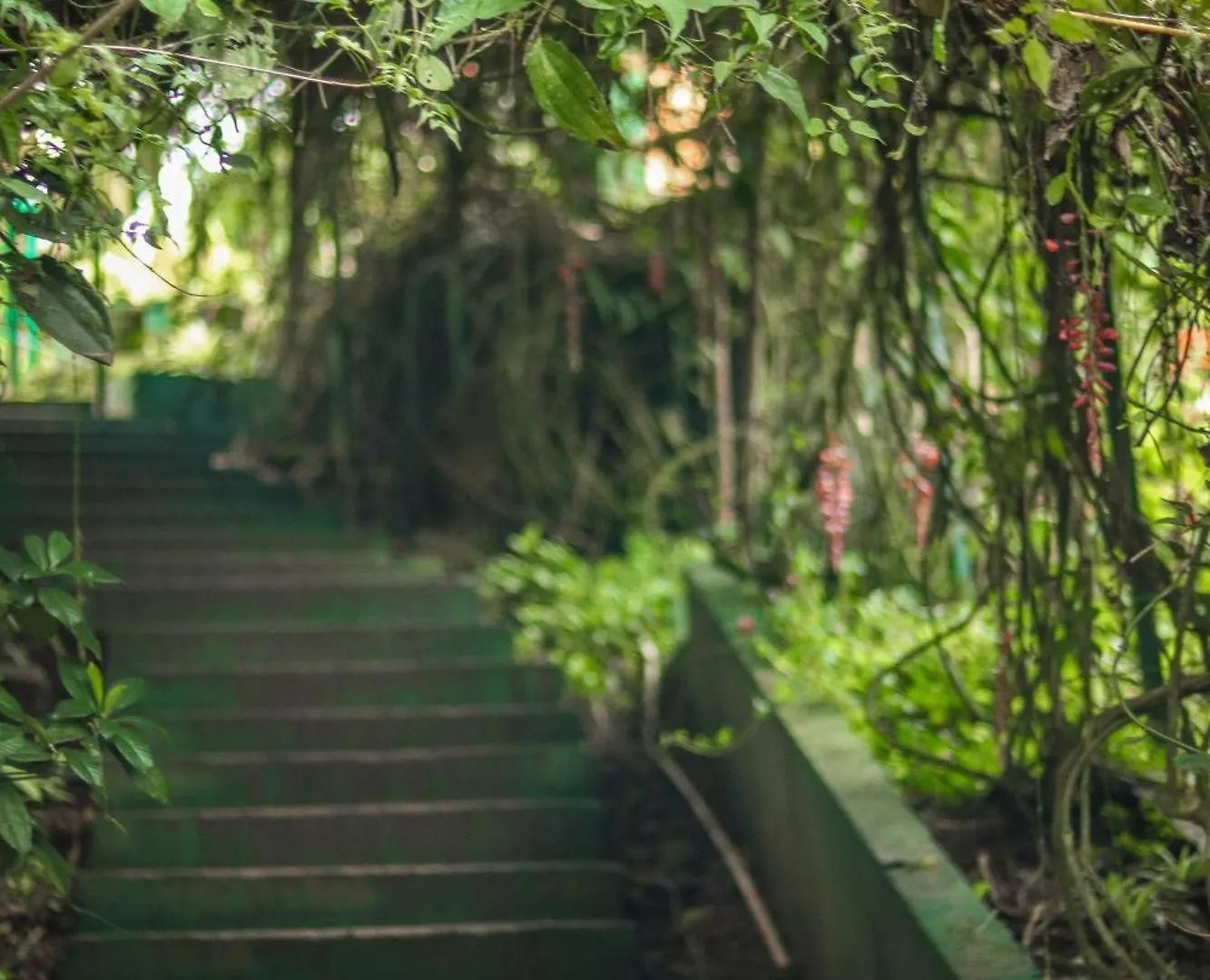 *** Resort Edens Munnar Hotel India