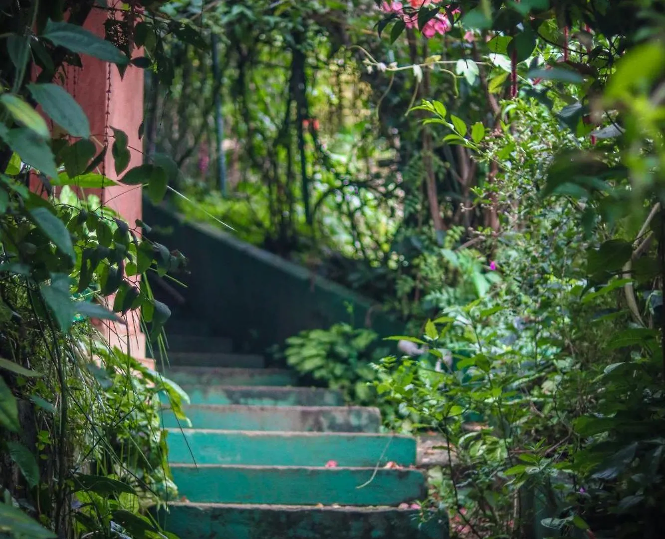 Edens Munnar Hotel