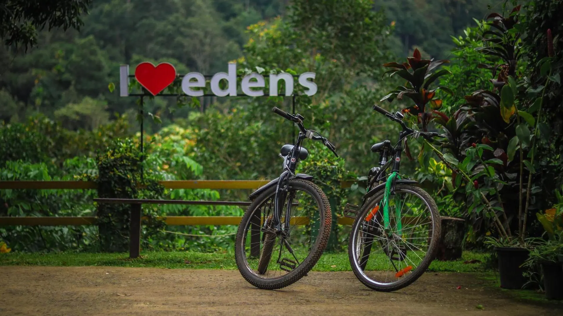 *** Resort Edens Munnar Hotel India