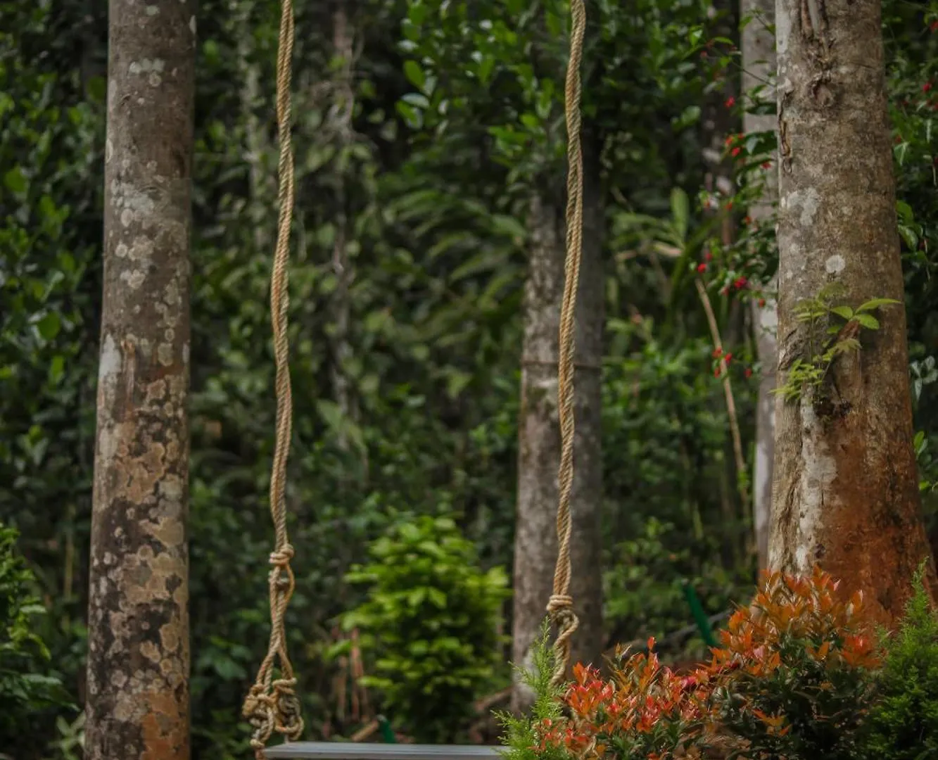 Resort Edens Munnar Hotel