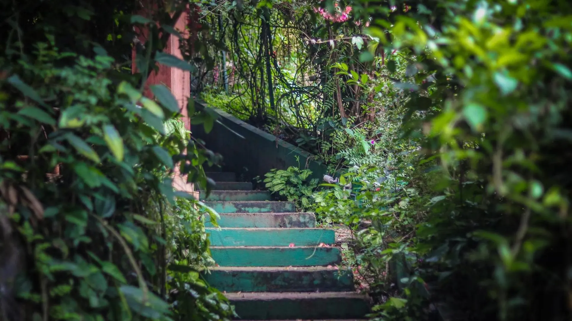Edens Munnar Hotel