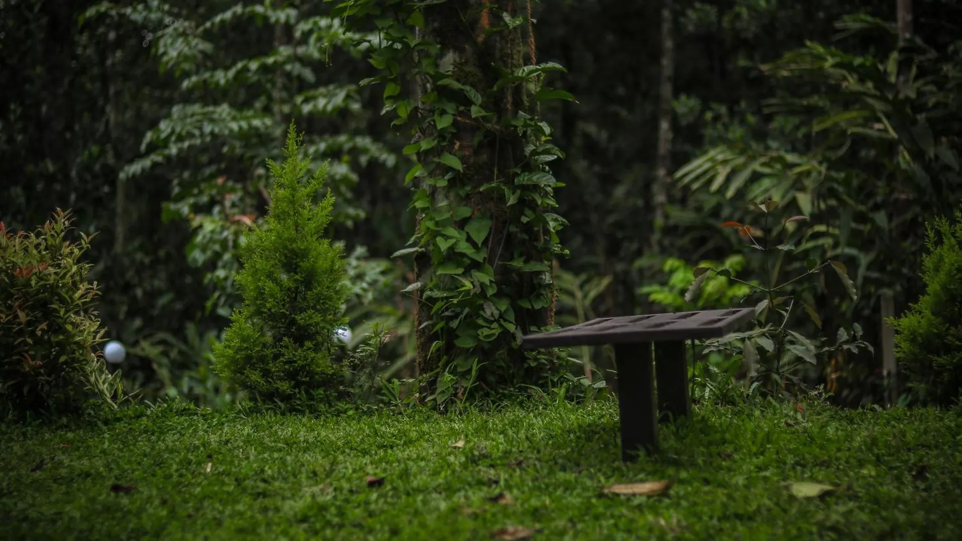 Edens Munnar Hotel 3*,