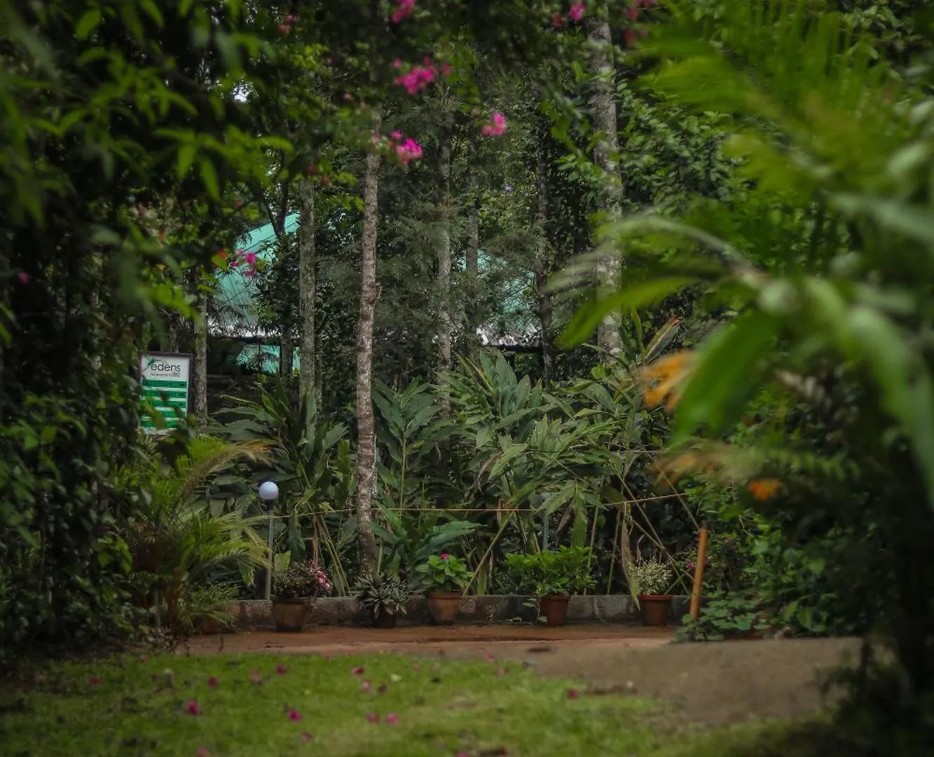 Edens Munnar Hotel 3*,  India