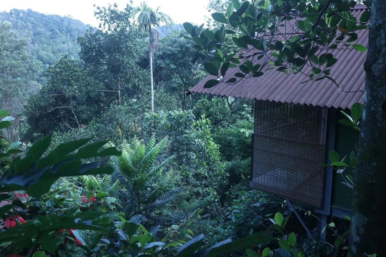 Edens Munnar Hotel Resort