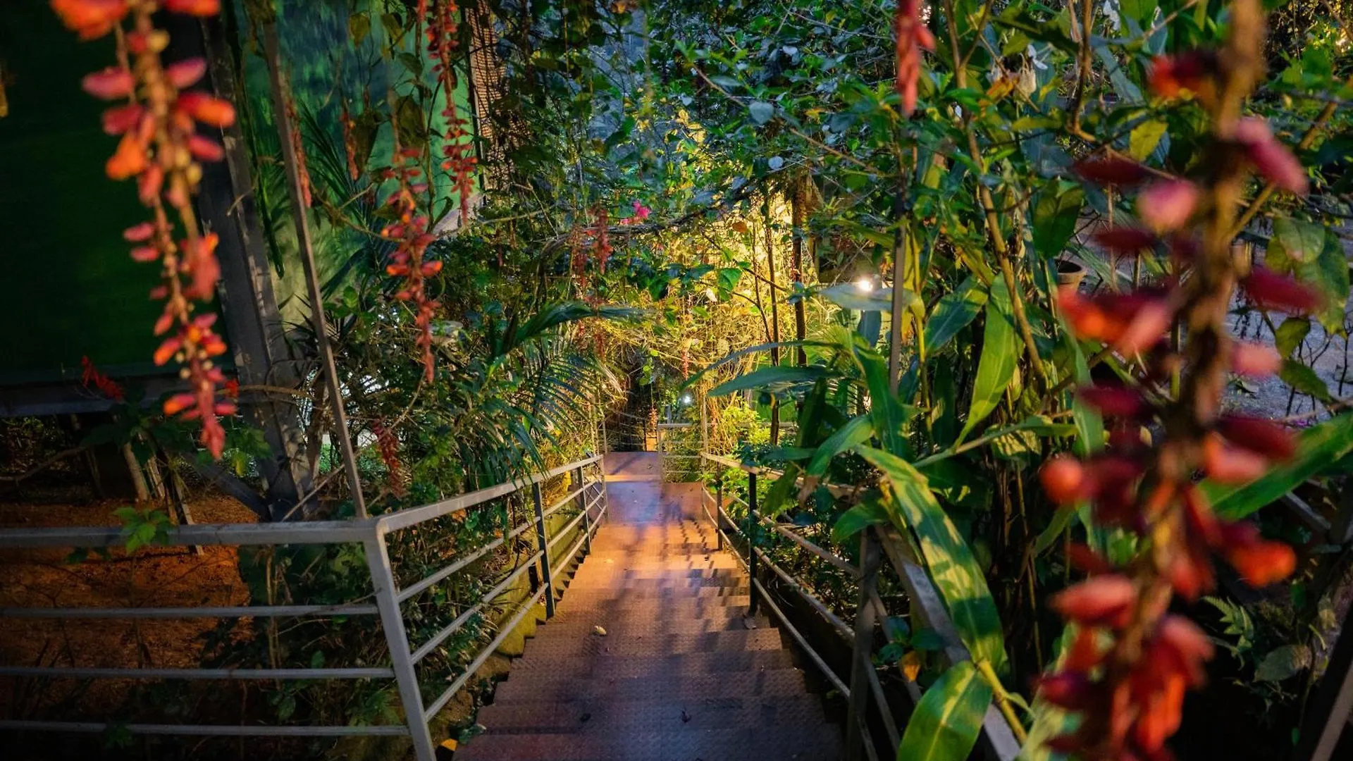Edens Munnar Hotel